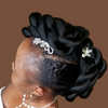 Braided Bun
